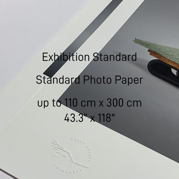Hahnemühle Studio Enhanced 210g